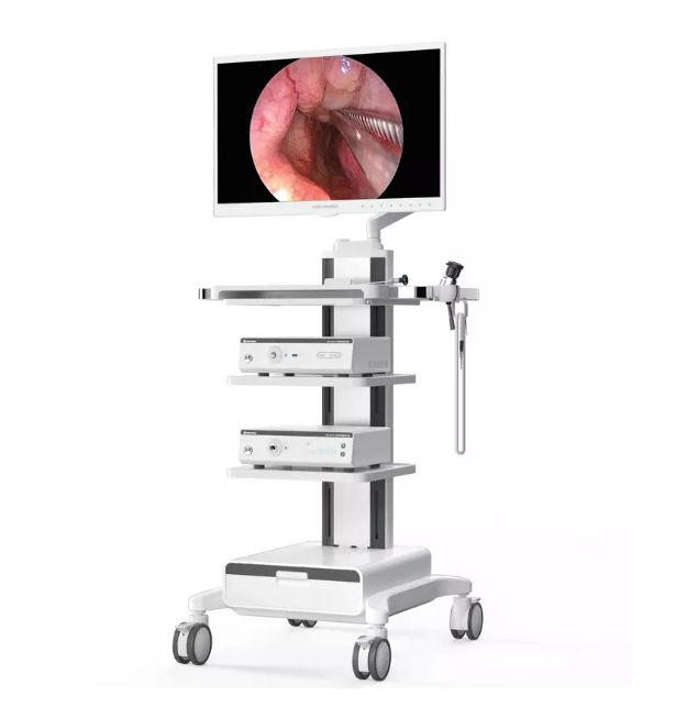 4K UHD Endoscopy System