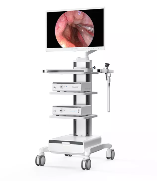 4K UHD LCD monitor for Endoscopy
